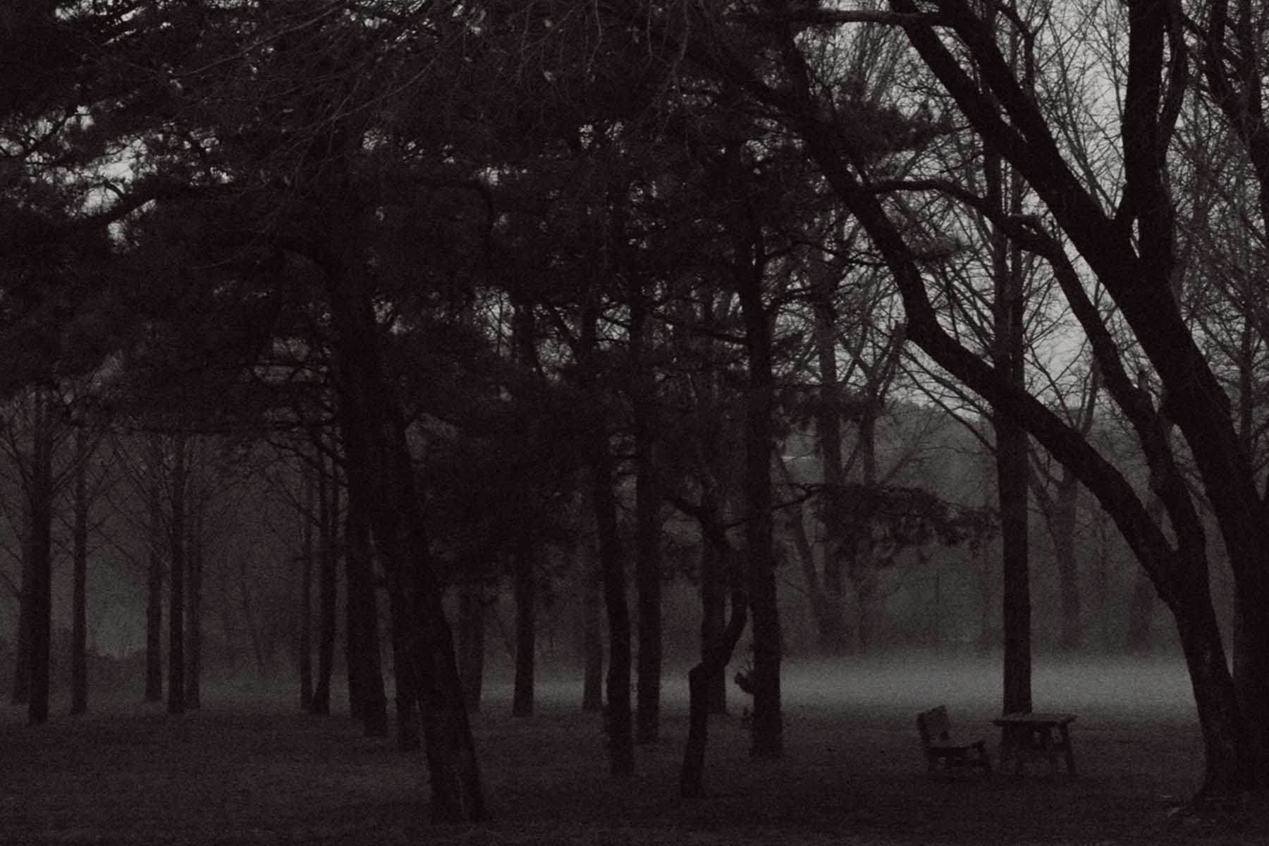 숲 속